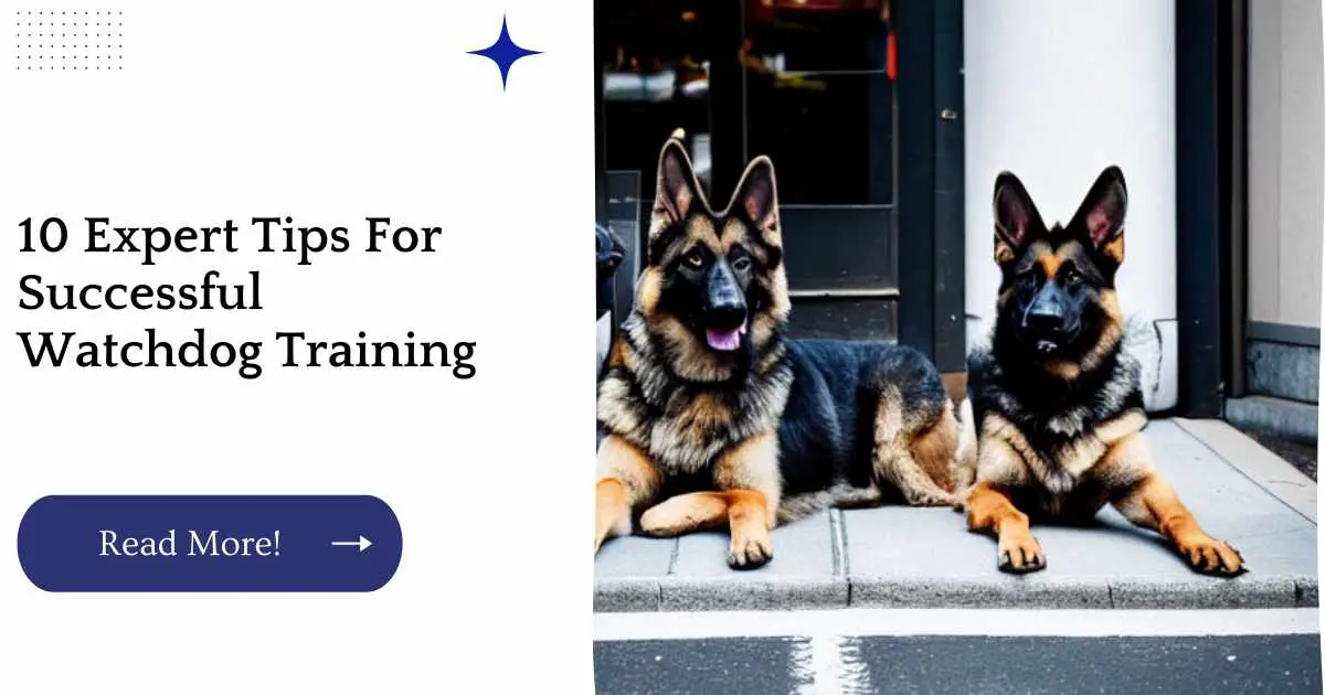 10 Expert Tips For Successful Watchdog Training