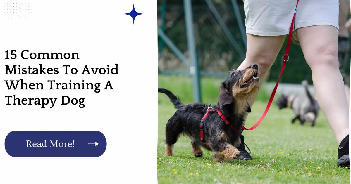 15 Common Mistakes To Avoid When Training A Therapy Dog