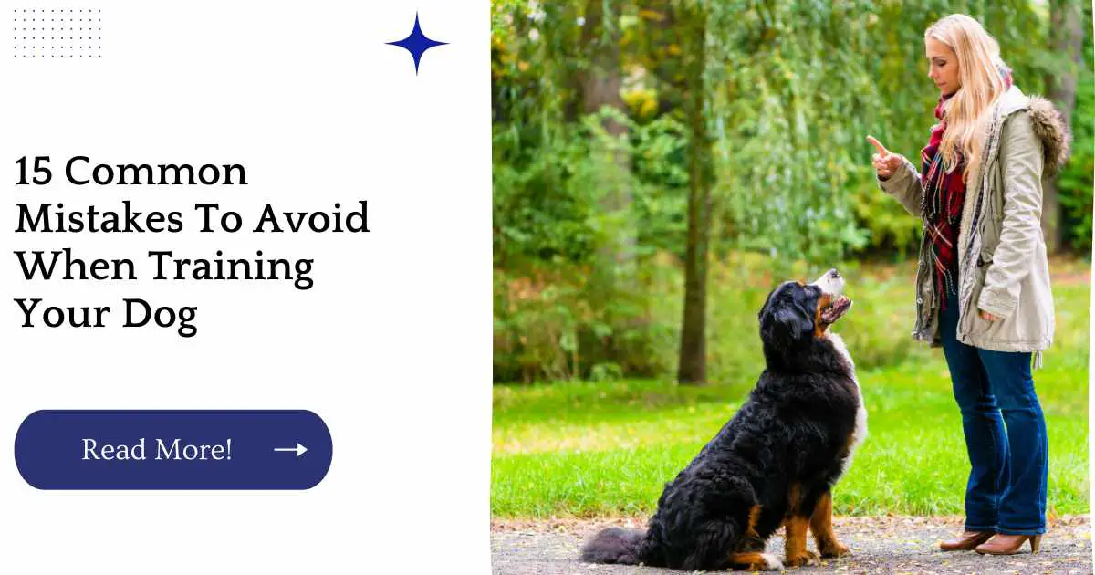 15 Common Mistakes To Avoid When Training Your Dog
