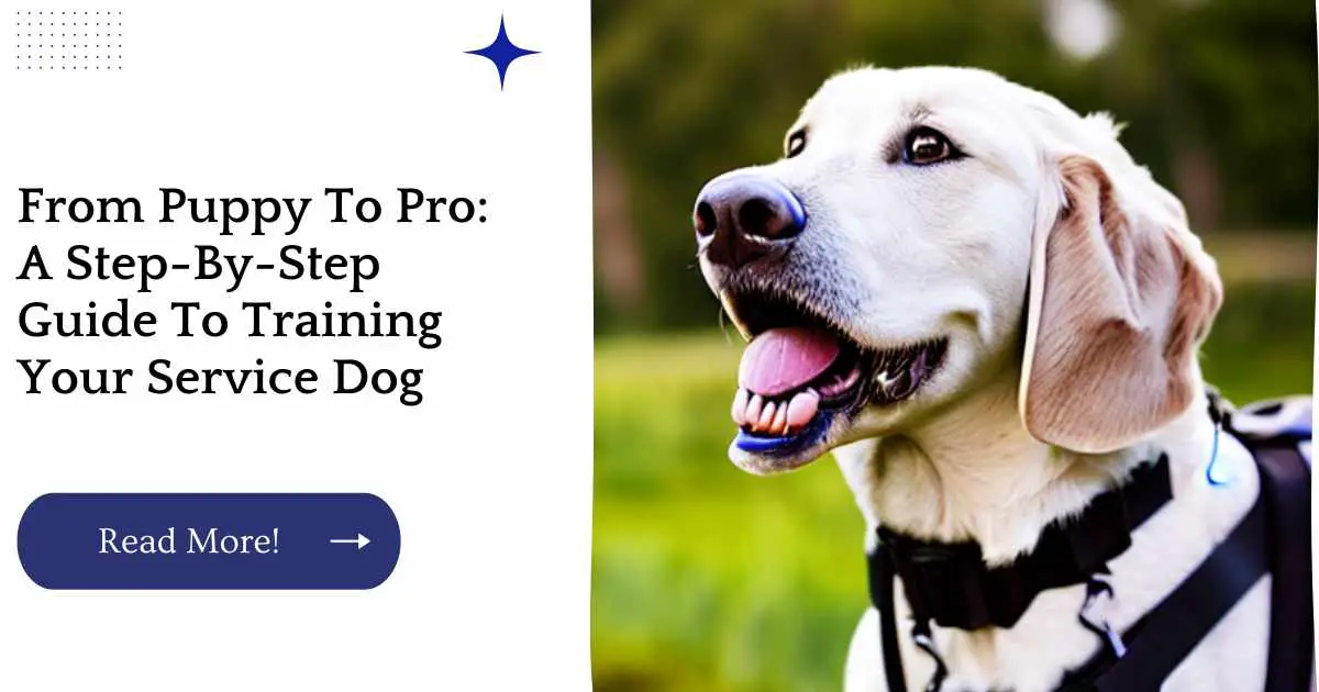 From Puppy To Pro: A Step-By-Step Guide To Training Your Service Dog