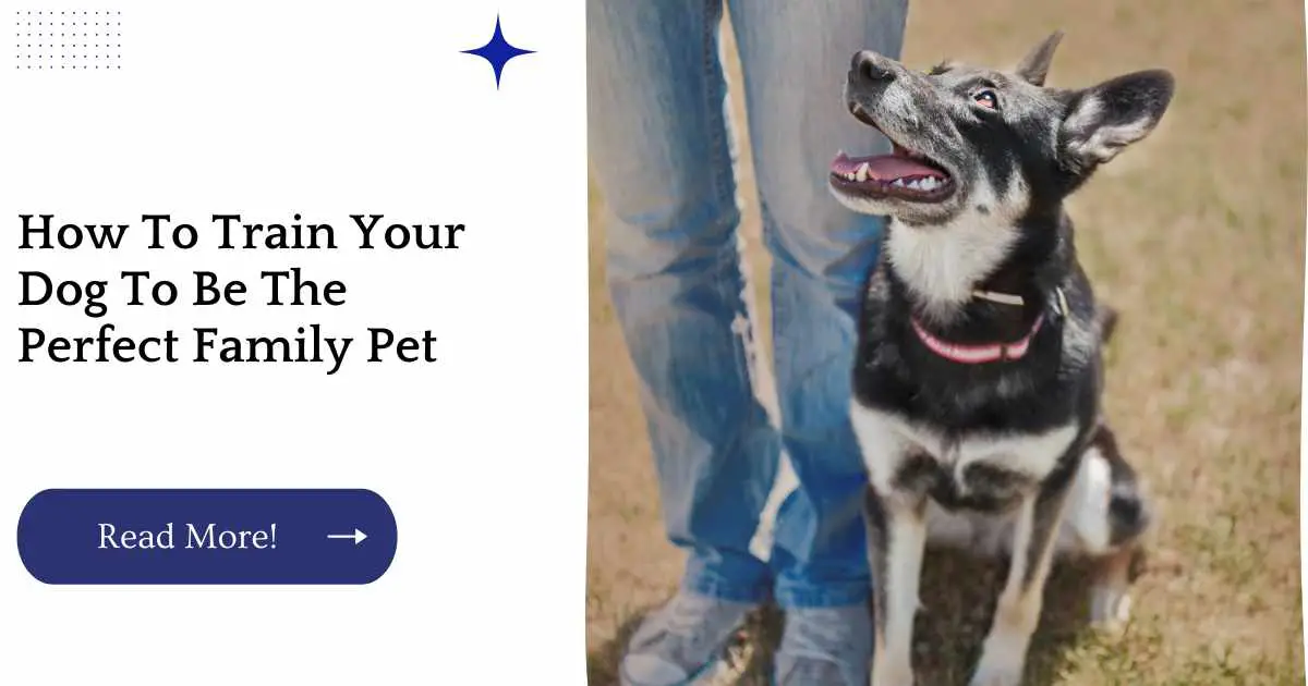 How To Train Your Dog To Be The Perfect Family Pet