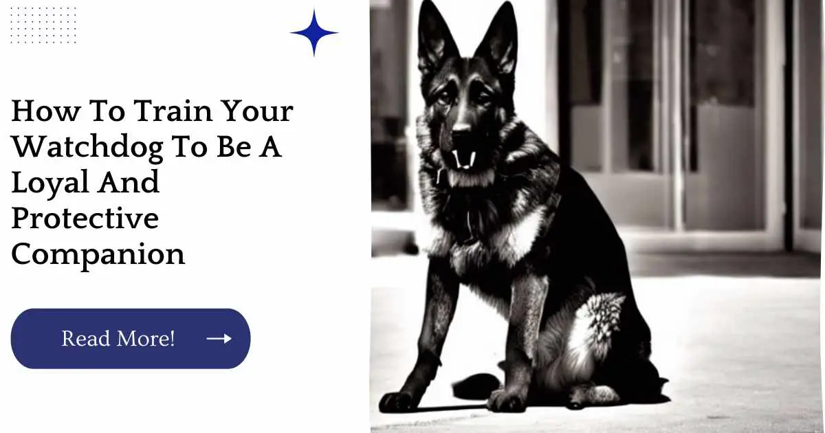How To Train Your Watchdog To Be A Loyal And Protective Companion