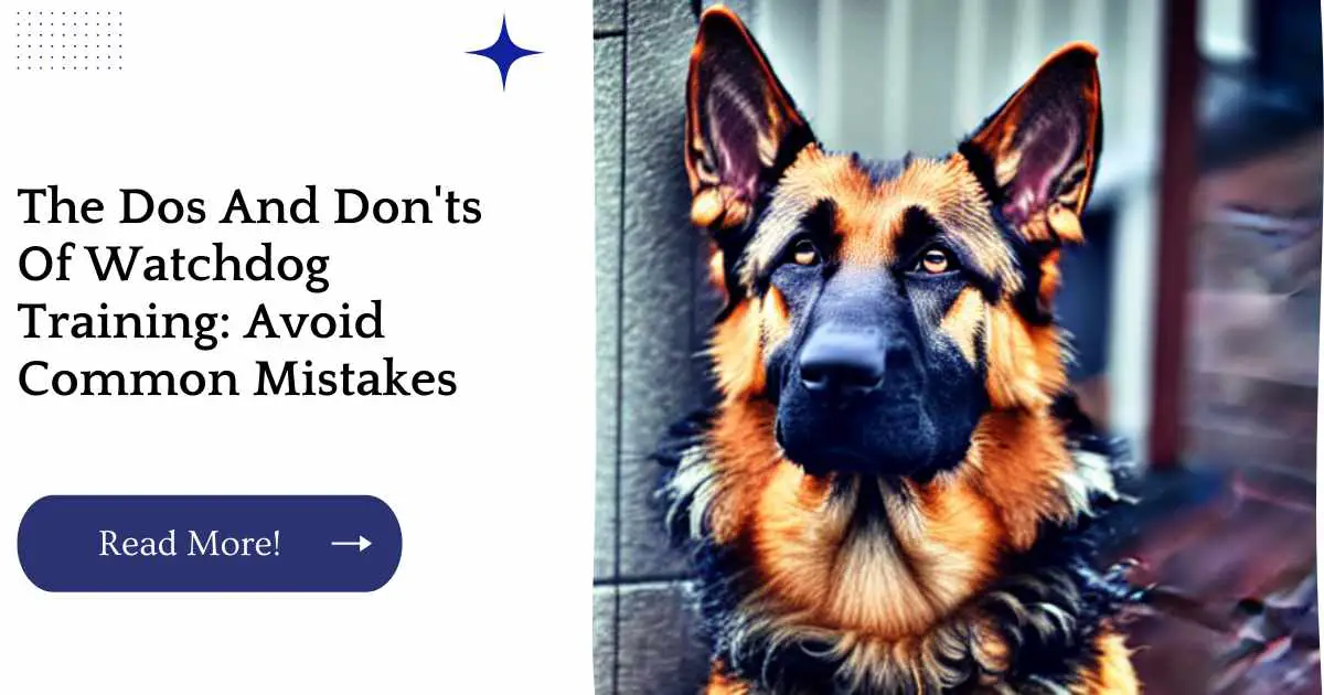 The Dos And Don'ts Of Watchdog Training: Avoid Common Mistakes