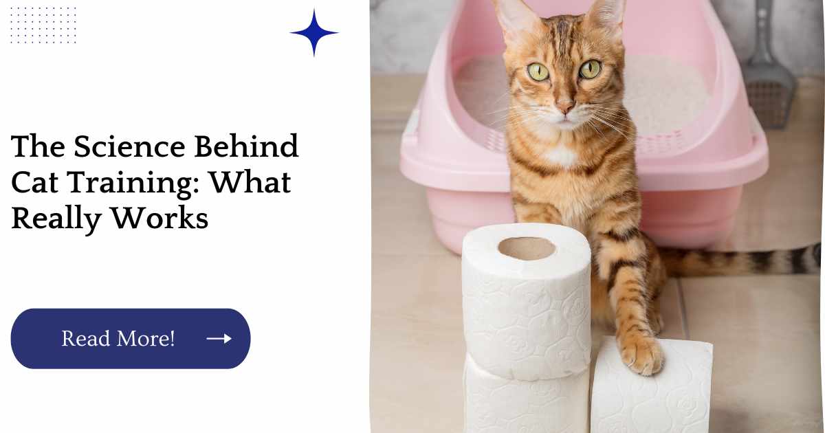 The Science Behind Cat Training: What Really Works