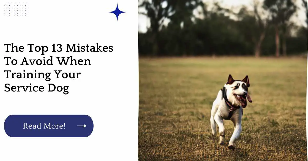 The Top 13 Mistakes To Avoid When Training Your Service Dog
