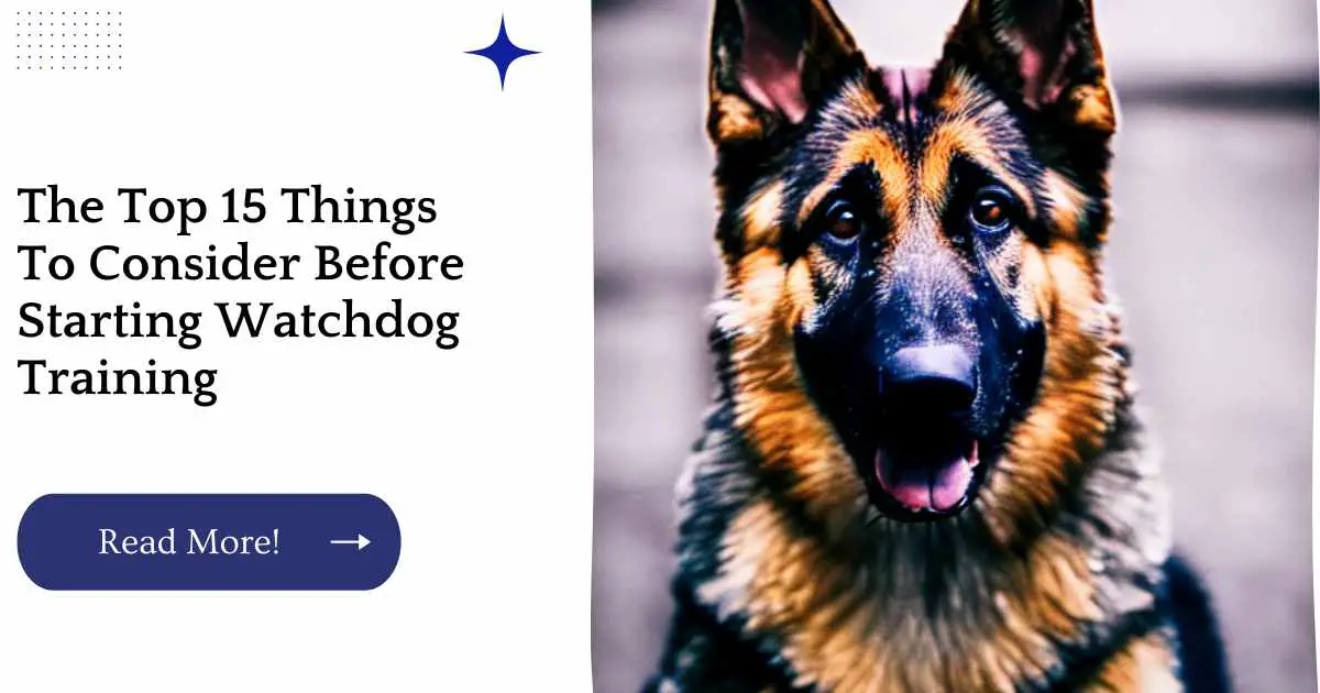 The Top 15 Things To Consider Before Starting Watchdog Training