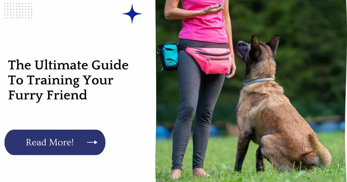 This comprehensive guide is designed to help you train your cat in just a few simple steps.