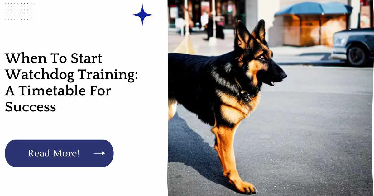When To Start Watchdog Training: A Timetable For Success
