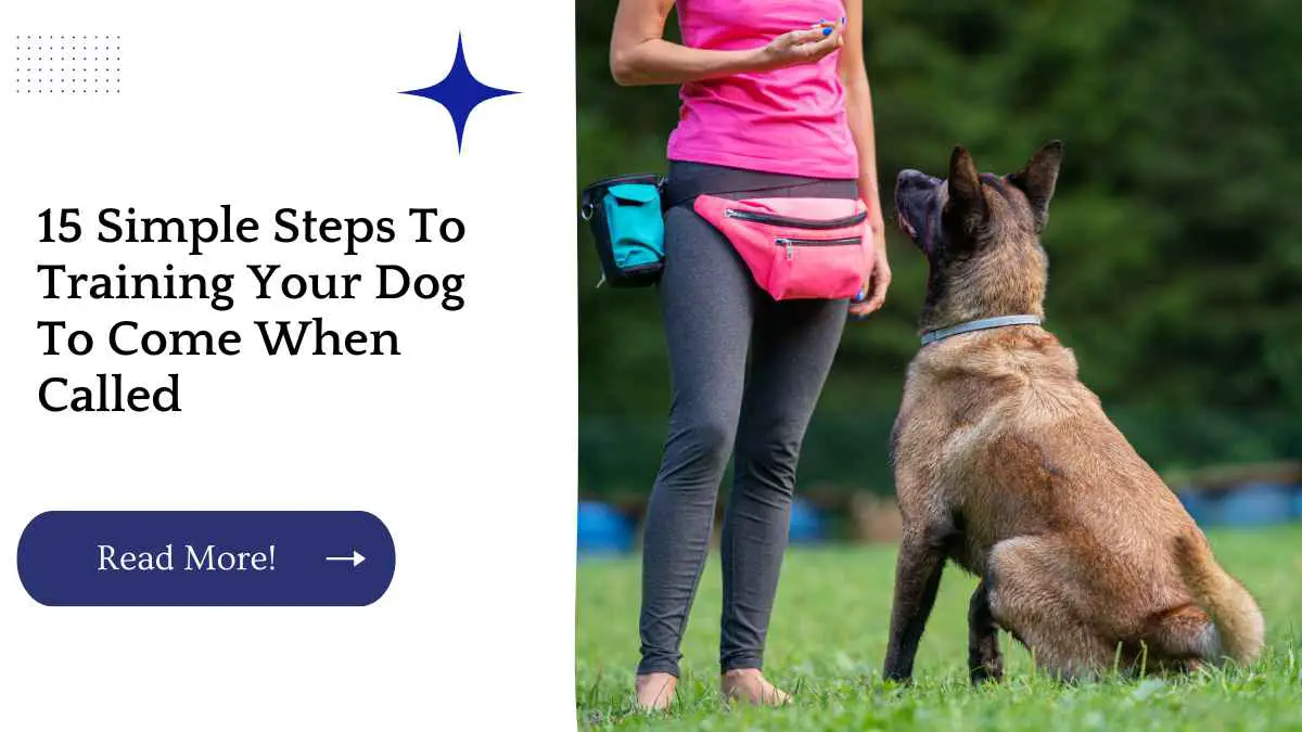 15 Simple Steps To Training Your Dog To Come When Called