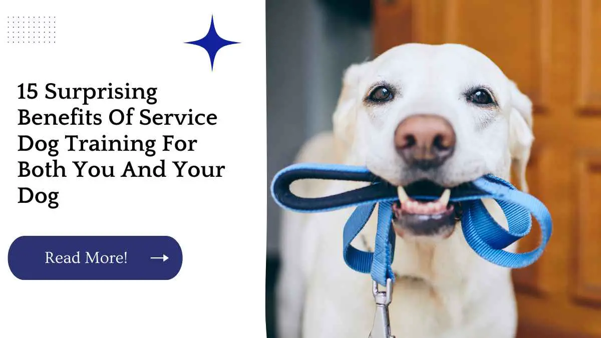15 Surprising Benefits Of Service Dog Training For Both You And Your Dog