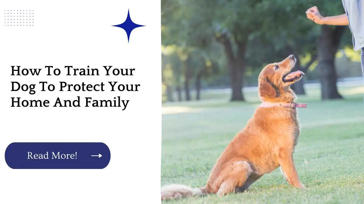 How To Train Your Dog To Protect Your Home And Family