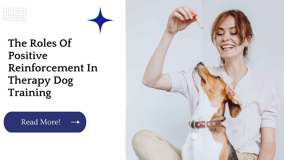 The Roles Of Positive Reinforcement In Therapy Dog Training