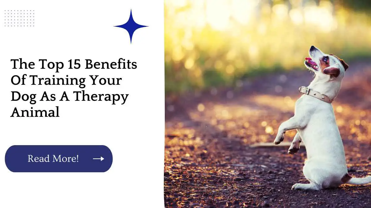 The Top 15 Benefits Of Training Your Dog As A Therapy Animal