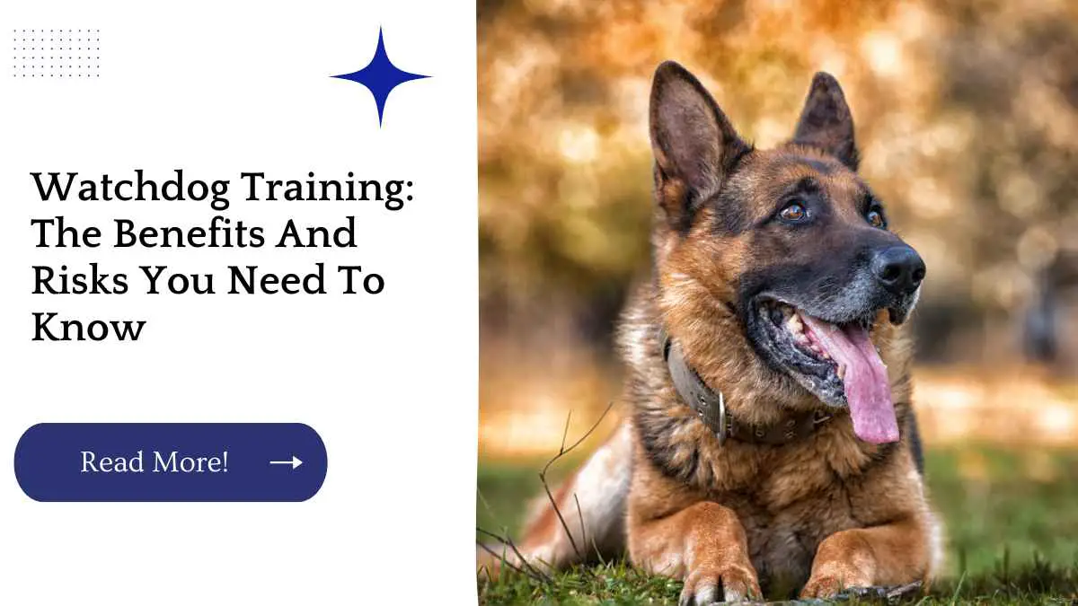 Watchdog Training: The Benefits And Risks You Need To Know