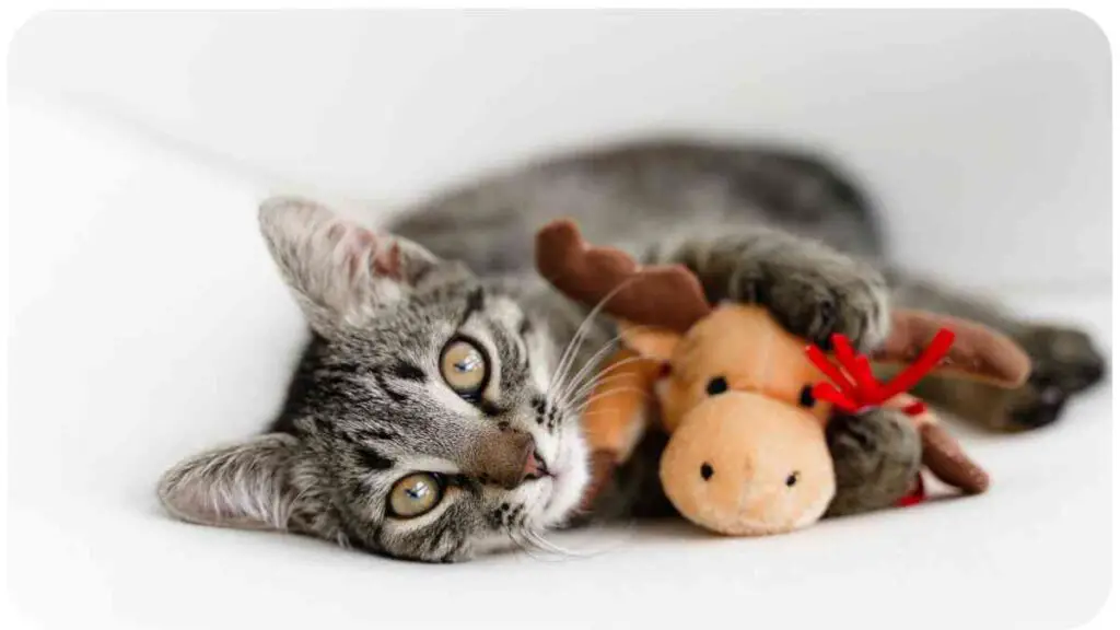 a gray tabby kitten playing with a stuffed animal